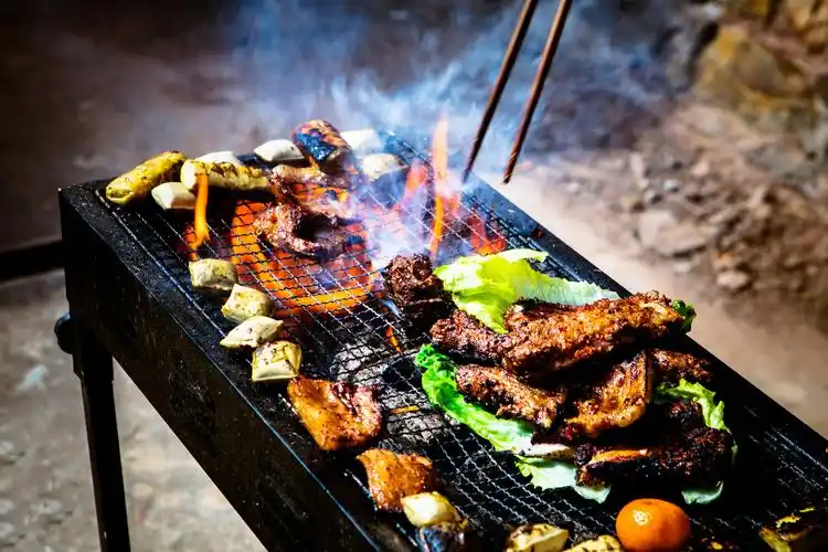 在农村自己做的烧烤, 虽然样子不好看, 但好吃不得了, 城里都买不到