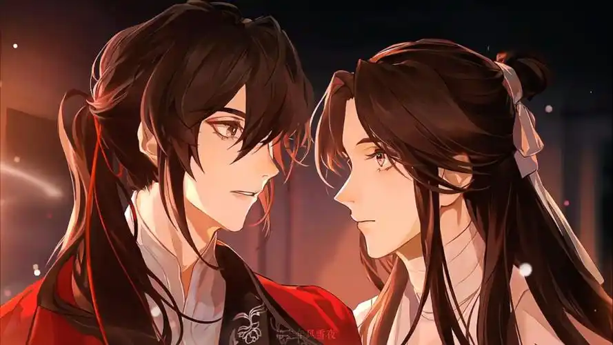 被天官赐福广播剧的花怜双人海报美哭了,真的好会画