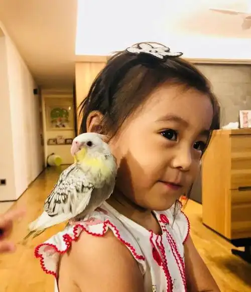 贾静雯晒孩子和鸟玩耍的照片咘咘波妞开心的合不拢嘴太可爱了