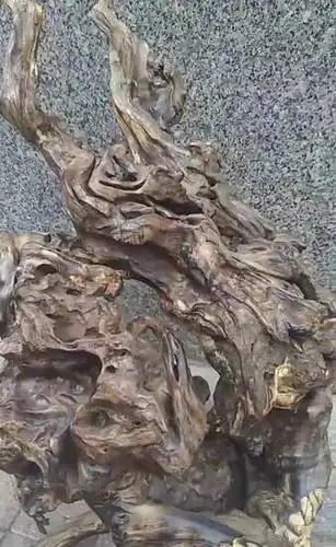 沉木柚木流木根雕崖柏根艺原料羊蹄甲金丝红木 毛料