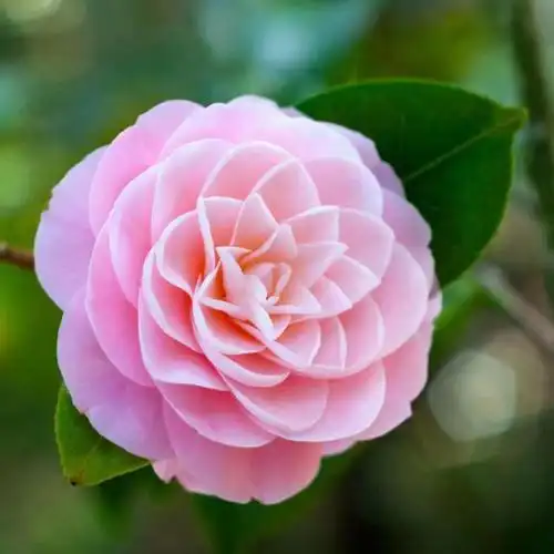 该不该和长时间不换微信头像微信名字的女生恋爱? - 知乎