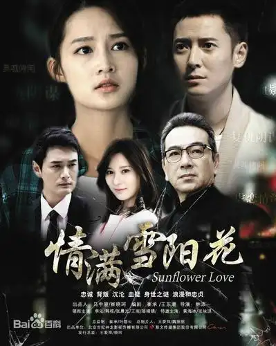 这几部情感题材的电视剧,你都追过哪几部?