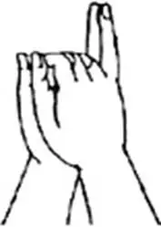 佛母大孔雀明王根本心印详解4