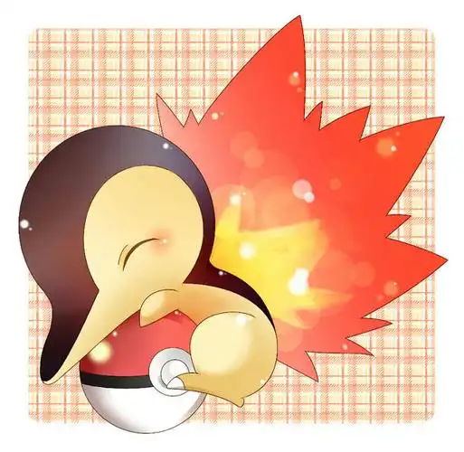 口袋妖怪复刻火球鼠性格推荐 什么性格好