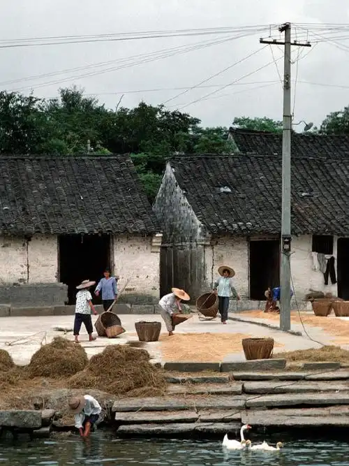80年代的浙江老照片没有喧嚣的人间仙境组图