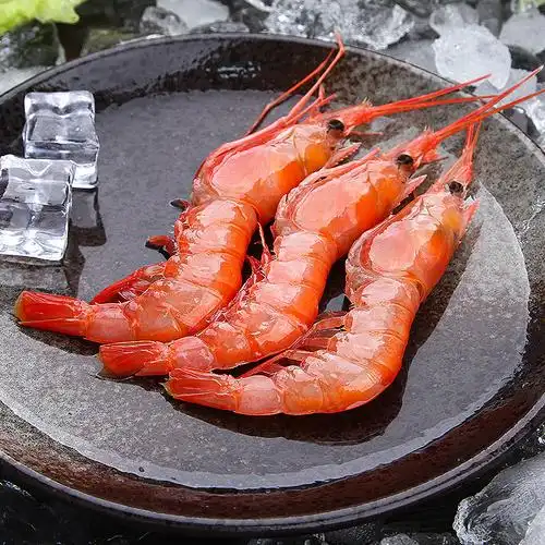 一折罗氏虾_舟山野生海鲜特大红虾鲜活速冻野生东海深海大头海虾海捕