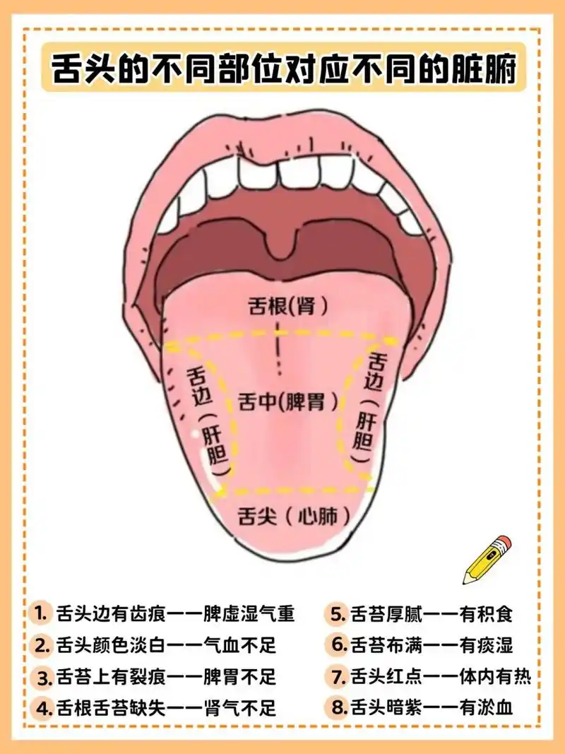 告诉你很多事情,新手爸妈一定要学会6015 - 93症状1:舌苔黏厚