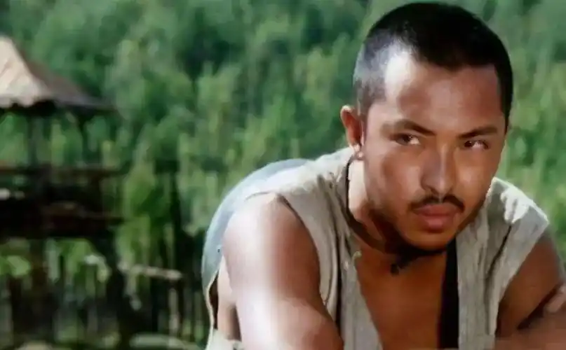 影帝富大龙官宣离婚与小8岁妻子丁克12年多年前就曝情变