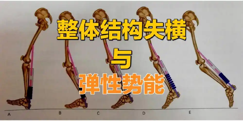 整体结构失衡与弹性势能