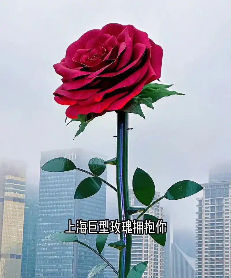 上海还是最懂浪漫的情人节街头无处不惊喜巨型玫瑰无数朵红浪漫汇聚成