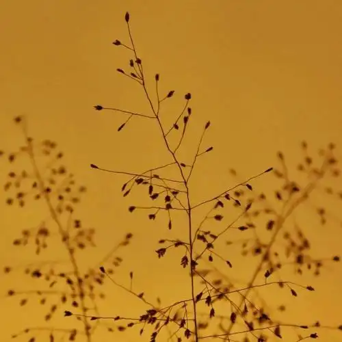 今日份秋天的朋友圈背景图