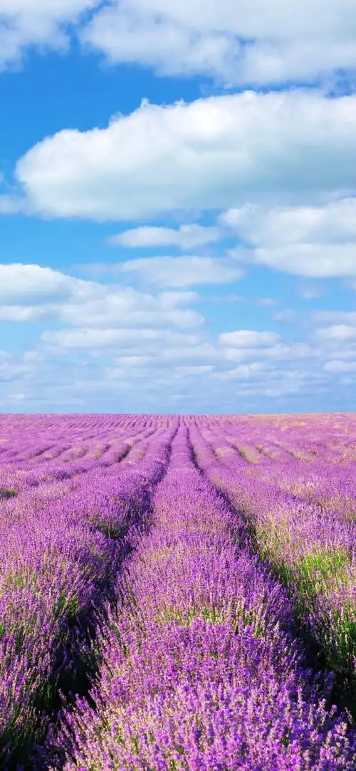 高清壁纸无水印#大自然风光美景壁纸