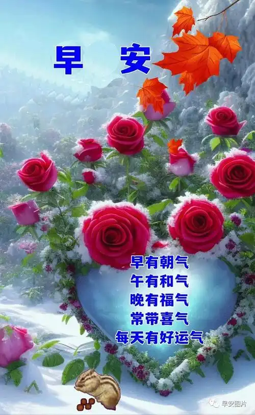 早安问候表情包平安相随健康永伴