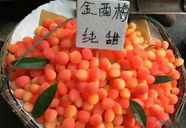 千万别买街头热卖的这种水果竟然是这种金西梅