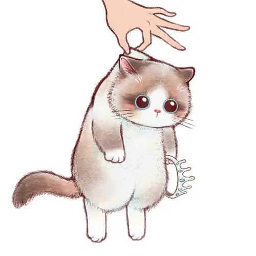 《铲屎官请自重》——拎猫头像表情系列