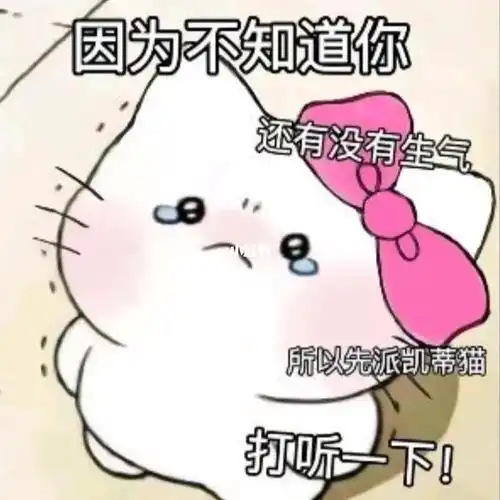 道歉专用表情包