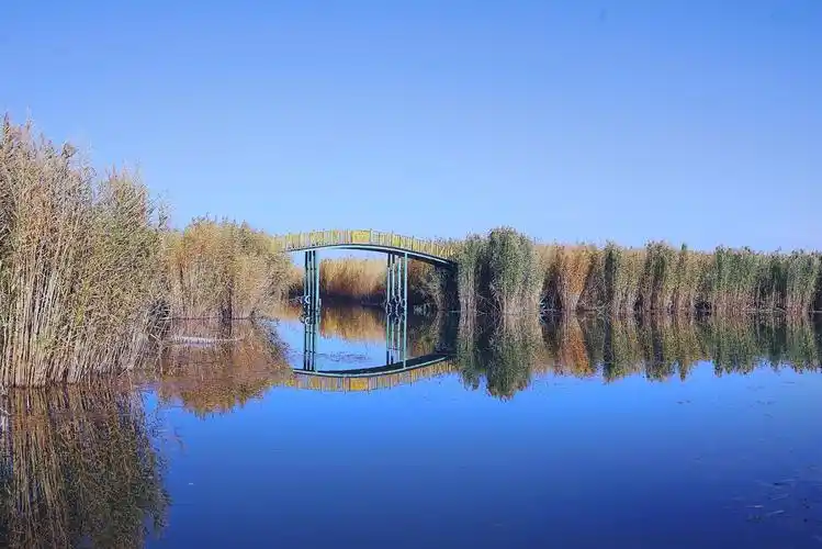 新疆游:博斯腾湖湿地公园篇