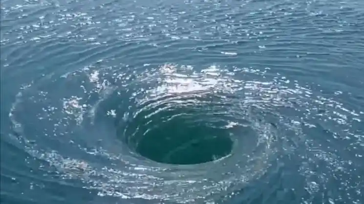 非牛顿流体是什么?生活中应用广泛很常见_腾讯新闻