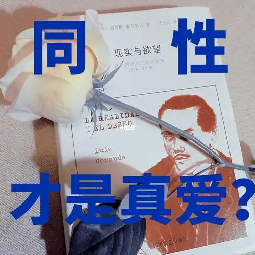 同性才是真爱cr现实与欲望