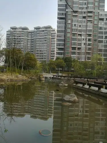 绿洲香岛今天阳光灿烂 春暖花开