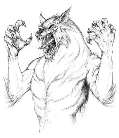 狼人简笔画一年级幼儿