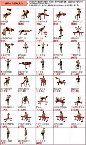 在只有一副哑铃(30kg)的情况下,如何锻炼尽可能多部位的肌肉?