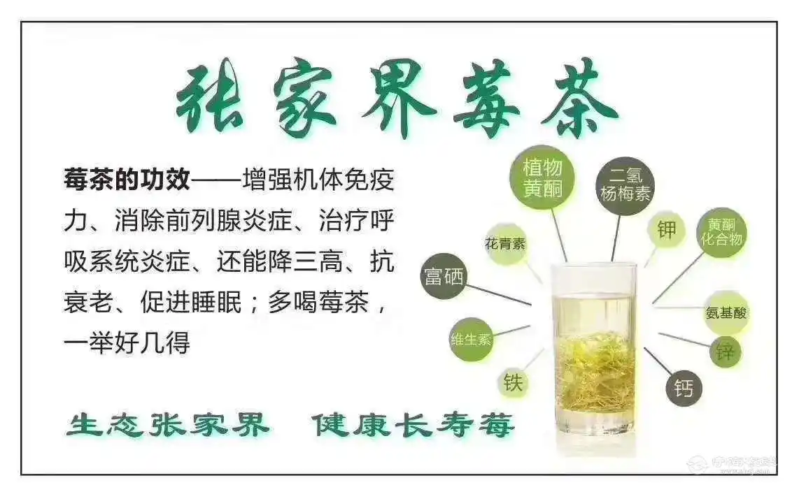 长寿莓茶的功效与作用莓茶治疗咽炎效果怎么样