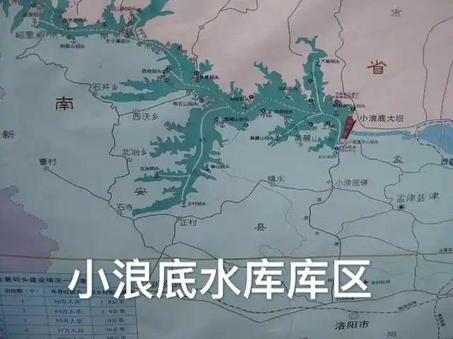 小浪底水库里面最大的鱼有多大?调水调沙真的有利于生态健康吗?