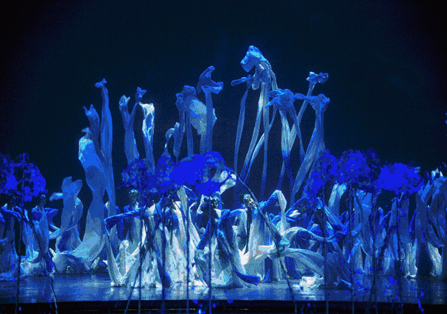 赏花海 观舞蹈—花间舞台 古典舞会雍容华贵—旗袍秀,旗袍美女花间