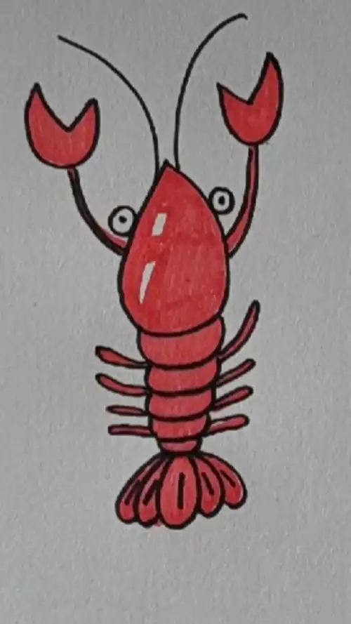 画画原来如此简单#超简单龙虾画法