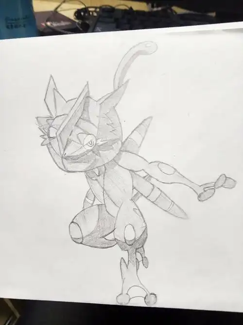 临摹 甲贺忍蛙|插画|创作习作|浅东初雪 - 原创作品 - 站酷 (zcool)