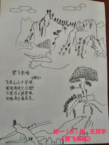 初一(8)班  王月宇手绘《登飞来峰》