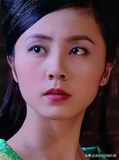 越老越有味道的13位女明星(黑土地出大美人)(13)