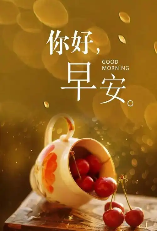 非常经典的早安语录,早安说说简短唯美句子一句话,句句经典!