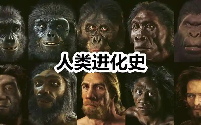 从猿到人,为什么人类在进化过程中变得"无毛"?