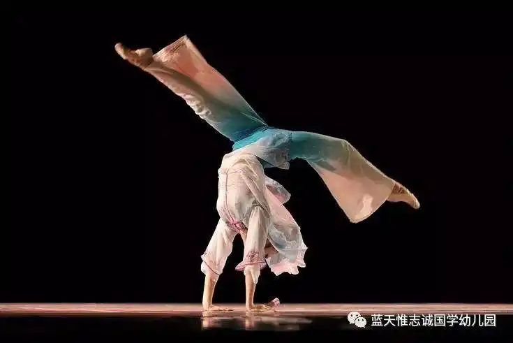 蓝天国学古典舞古典风姿舞动优雅