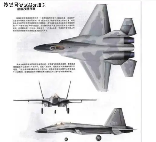 歼19到底是什么战机?这里告诉你答案 武器or知.2020.5.24 21.0万