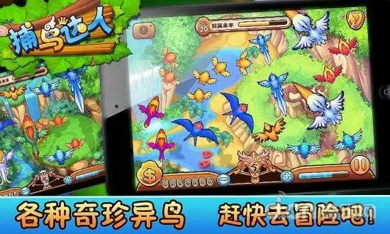 捕鸟达人2