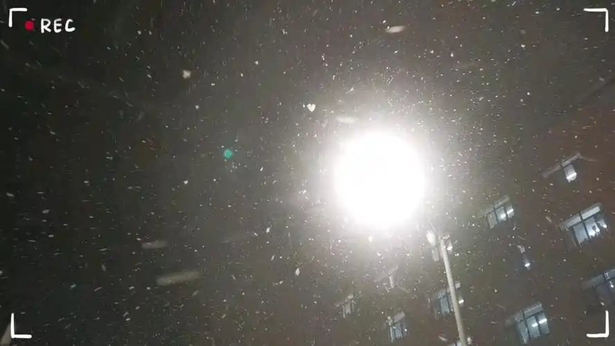 今晚的哈尔滨又下雪啦