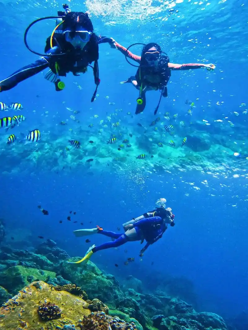 三亚远海潜水攻略