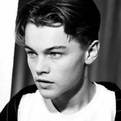 多少人曾爱慕你年轻时的容颜——小李子