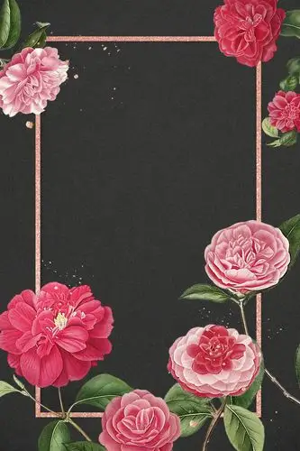 红色和粉色山茶花图案空白框架模型