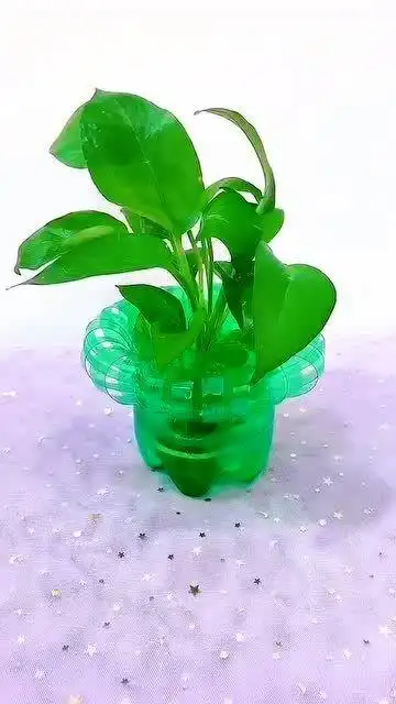 雪碧瓶变花瓶,就是这么简单