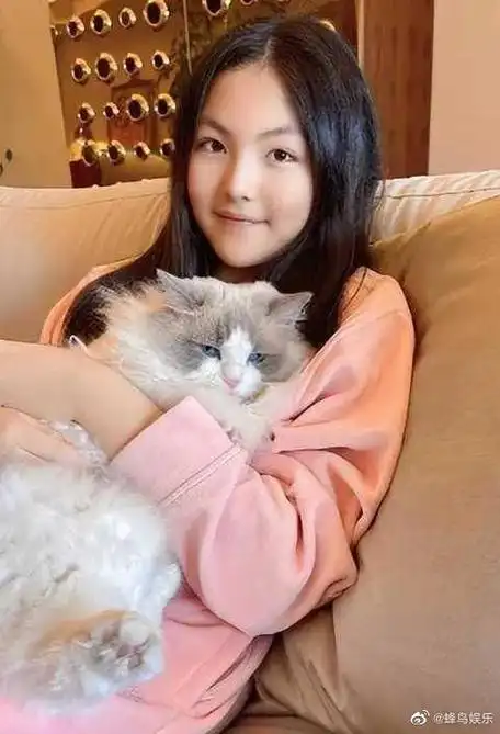 王诗龄账号认证演员##王诗龄认证演员