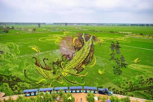 辽宁沈阳稻梦空间巨大稻田画对游客开放|辽宁省_新浪财经_新浪网