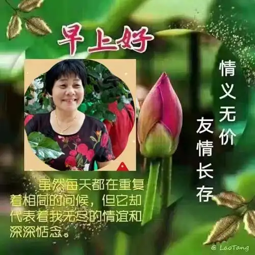 大家早上好!2020年一首《好姐妹》送给你,祝你开心快乐!