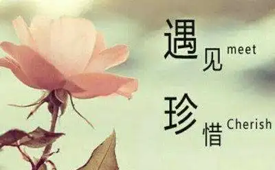 九,珍惜当下的唯美句子?