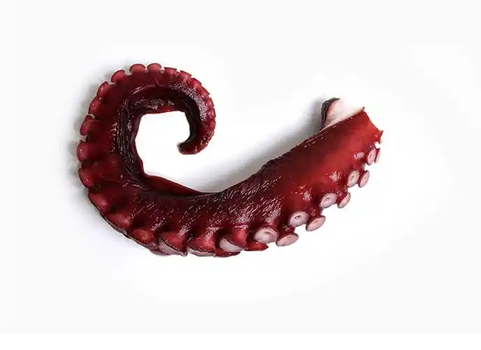 新鲜大章鱼足鲜活冷冻海鲜章鱼脚八爪足即食鱿鱼须章鱼足刺身500g