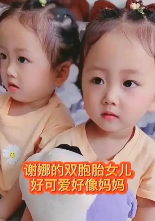 继双胞胎女儿后谢娜再生女儿粉丝团辟谣坐等官宣