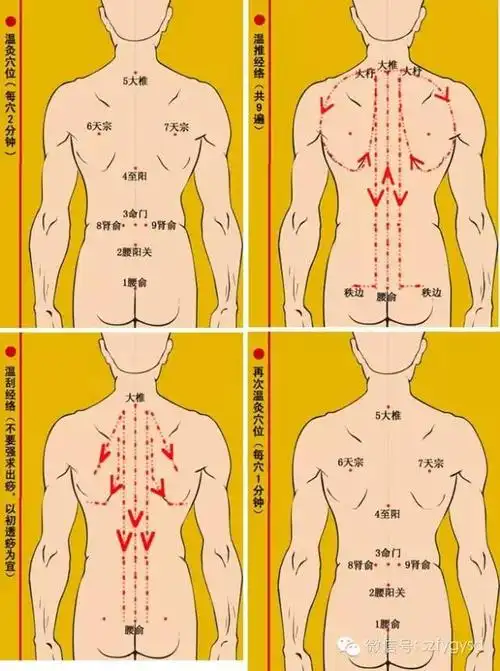 扶阳十大经典项目之一腰酸背痛调理路径